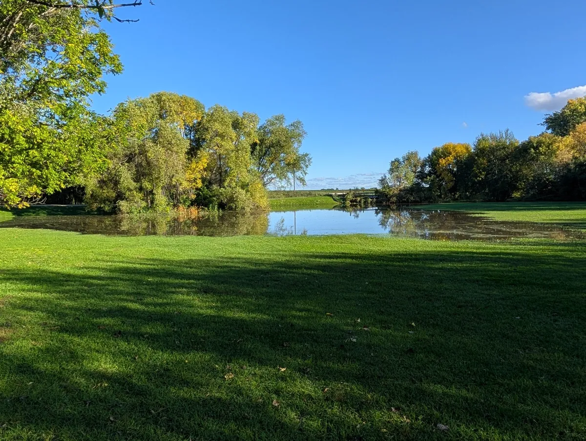 Rainwater standing across the mowed lawn at Ben's Farm like a small lake, with willows and fall trees reflected in it under a clear blue sky